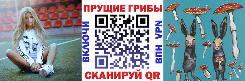 Галлюциногенные грибы прущие грибы  Апатиты 